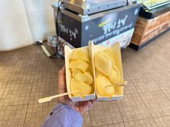 -济州森林小火车生态公园