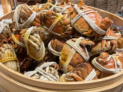 -太湖饭店玉兰厅(自助餐厅)