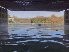 -春晖园度假酒店温泉