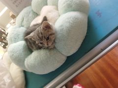 -博特宠物医院24h犬猫全科.骨科·异宠