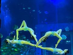 -正佳极地海洋世界