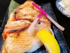 -鲤·鮨KOISUSHI