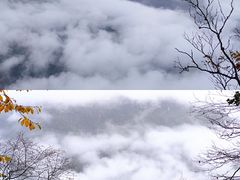 -神农架景区