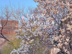 -山东师范大学(千佛山校区)