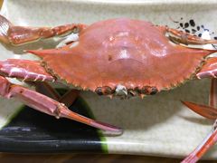 螃蟹-兆辉木炭海鲜烧烤·海鲜小炒