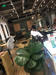 -Mentor Hair Salon