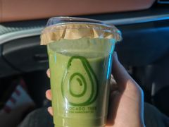 -油梨树AVOCADO TREE(顺义新国展店)
