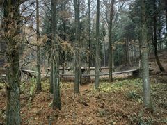 -四明山国家森林公园