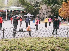 -丰台科技园生态主题公园