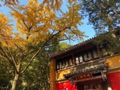 -灵谷景区