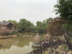-美的鹭湖森林度假区