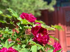 -大钟寺古钟博物馆