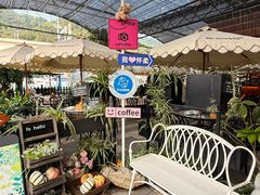 -京北渔家傲