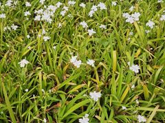 -宁波儿童公园(鄞州区)