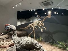 -自贡恐龙博物馆