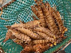 -鲜炉季港式打边炉(尚海湾店)