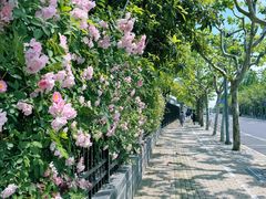 -上海市平和双语学校