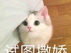 -眷茶(赛格国际购物中心店)