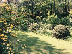 -碧桂园凤凰城酒店(南京店)