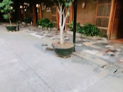 -绿雅居原生态农庄(小涌店)