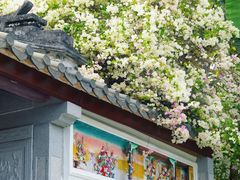 -深圳国际园林花卉博览园