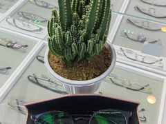 -罗伯特眼镜·蔡司官方授权(罗湖国贸店)