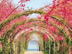 -名花谷生态庄园