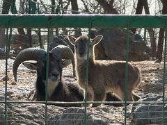 -秦皇岛野生动物园