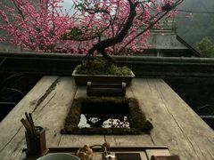 -亦缘居私家别院