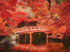-醍醐寺