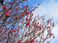 -南京市江宁方山