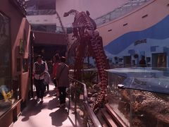 -陕西自然博物馆