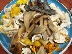 -菌之家·专业纯野生菌火锅·特色炒菌