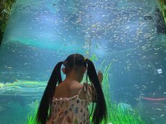 -海合安成都极地海洋公园