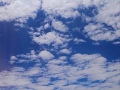 -天鹅湖体育公园