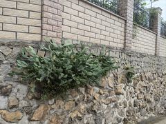 -众神白水涧景区