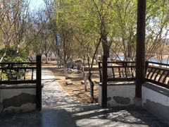 -桃花堤公园