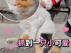 -于记沙布袋馄饨