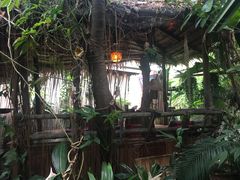 -Jungle Kitchen