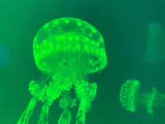 -福州罗源湾海洋世界旅游区