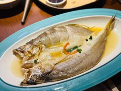 黄酒黄鱼-寻宝记绍兴菜(鲁迅路店)