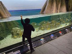 -江和美海洋公园