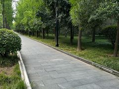 -唐城墙遗址公园