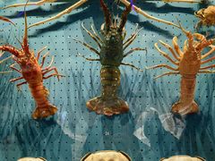 -抱抱地球咖啡馆(国家海洋博物馆店)