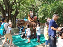 -广东茂名森林公园