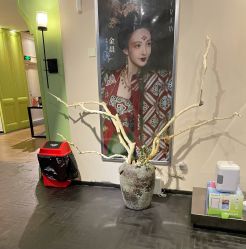 -盘子女人坊古装写真摄影(天津总店)