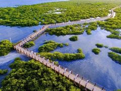 -北海金海湾红树林生态旅游区