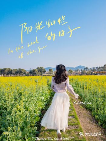 打卡深圳730000平方花海！