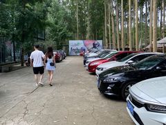 -桉树林A coffee 森林餐厅(三圣乡店)