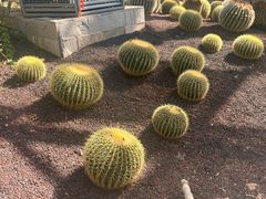 -亿利库布其七星湖沙漠生态旅游区